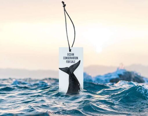 ocean-price-tag2